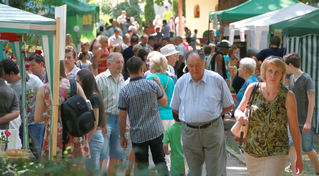 Ziua Diecezei, ediția doua