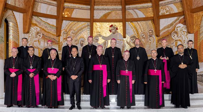 Pregătesc parcursul sinodal convocat de Papa Francisc pentru 2021- 2023